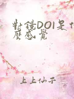 对镜DOI是什么感觉