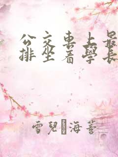 公交车上最后一排坐着学长c