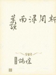 叶南浔周斯年小说
