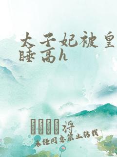 太子妃被皇上强睡高h