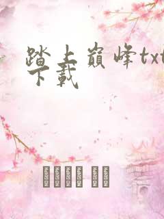 踏上巅峰txt下载