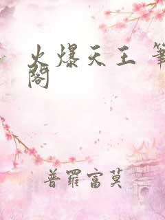火爆天王 笔趣阁