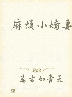 麻烦小娇妻