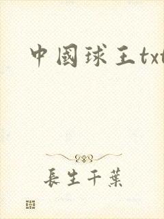 中国球王txt