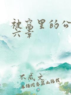 被窝里的公息第六章