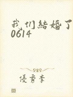 我们结婚了130614