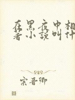 在黑夜中相拥原著小说叫什么