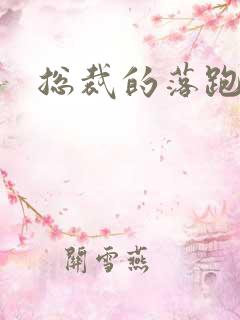 总裁的落跑情人