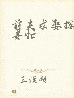 前夫求娶总裁追妻忙