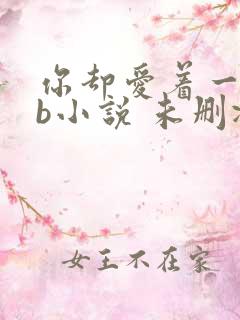 你却爱着一个sb小说 未删减完整版百度云