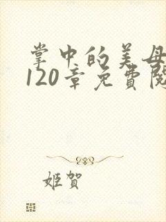 掌中的美母版主120章免费阅读