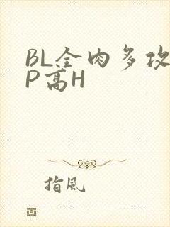 BL全肉多攻NP高H