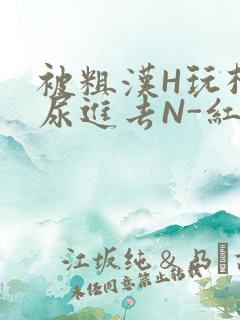 被粗汉H玩松了尿进去N-红-Q