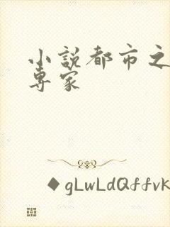 小说都市之军火专家