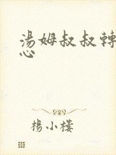 汤姆叔叔转入中心