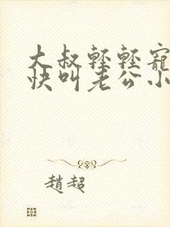 大叔轻轻宠宝贝快叫老公小说