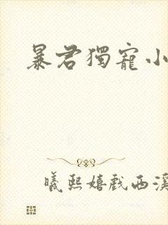 暴君独宠小俏后