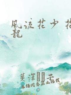风流花少 花睿龙