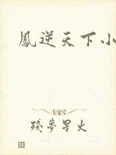 凤逆天下小说