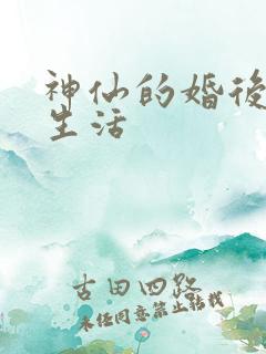 神仙的婚后都市生活