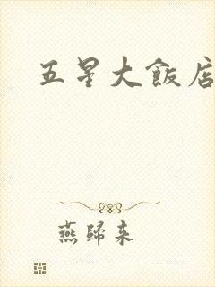 五星大饭店小说