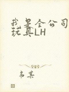我是全公司发泄玩具LH