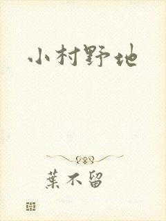 小村野地