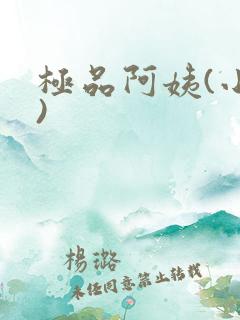 极品阿姨(小说)