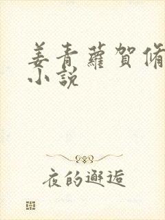 姜青萝贺修竹的小说