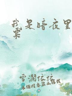 我是暗夜里的罂粟