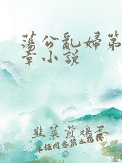 荡公乱妇第51章小说