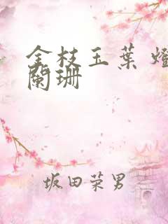 金枝玉叶 灯火阑珊