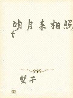 明月来相照txt