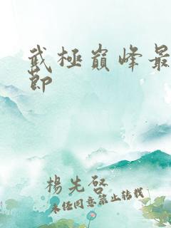 武极巅峰最新章节