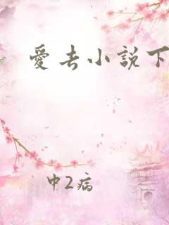 爱去小说下载网
