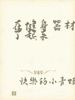 在健身器材上做了起来