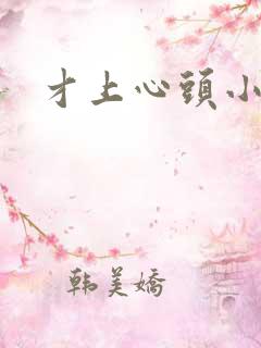 才上心头小说