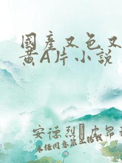 国产又色又爽又黄A片小说