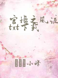 官场之风流人生txt下载