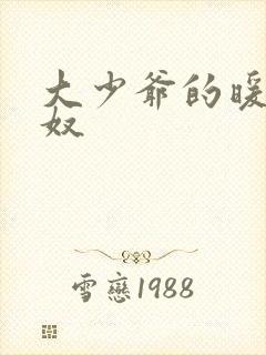 大少爷的暖床小奴