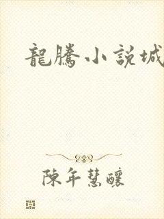 龙腾小说城