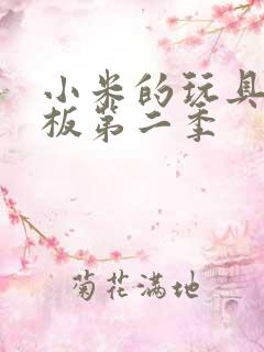 小米的玩具店老板第二季