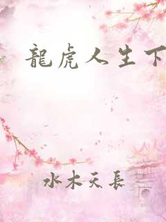 龙虎人生下载