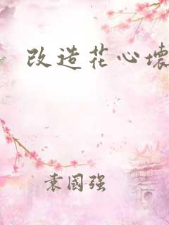 改造花心坏相公