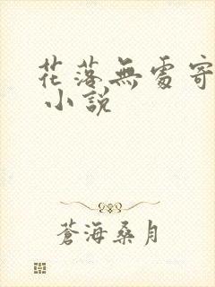 花落无处寄相思 小说