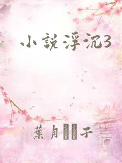 小说浮沉3