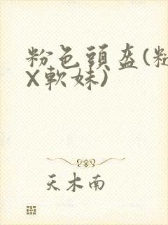 粉色头盔(糙汉X软妹)