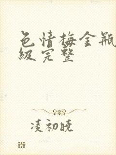 色情梅金瓶2三级完整