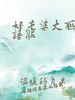 好老婆大联盟国语版