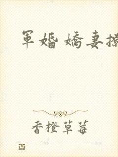 军婚 娇妻撩人